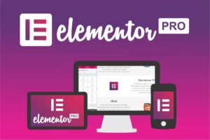 plugin elementor pro