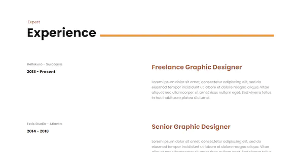 Nikicivi - Elegant CV/Resume & Portfolio - Gambar 2
